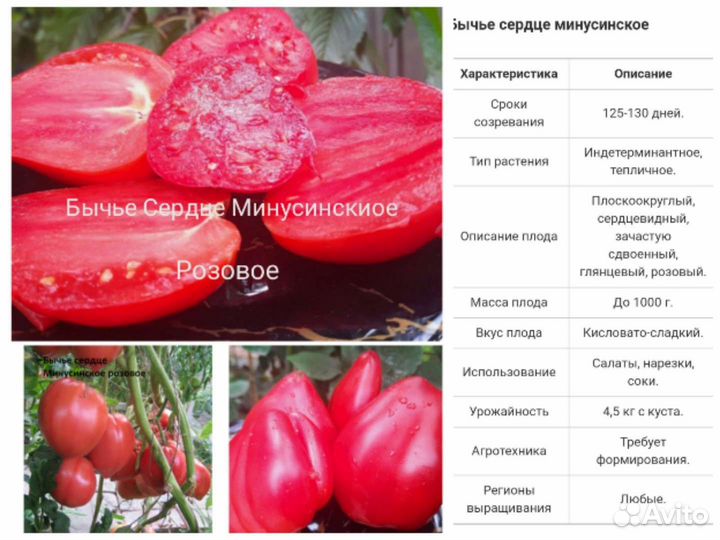Семена Минусинских томатов
