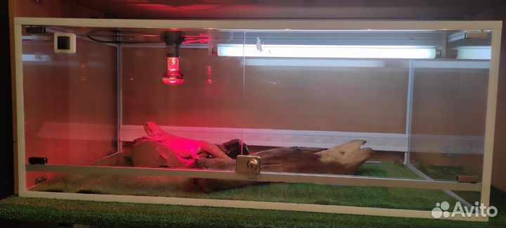 Террариум для рептилий бу