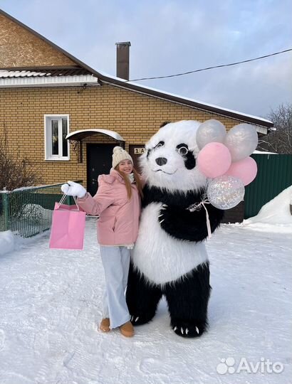 Мишка - Крутышка, поздравление от медведя