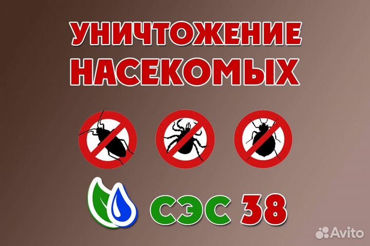 Уничтожение насекомых