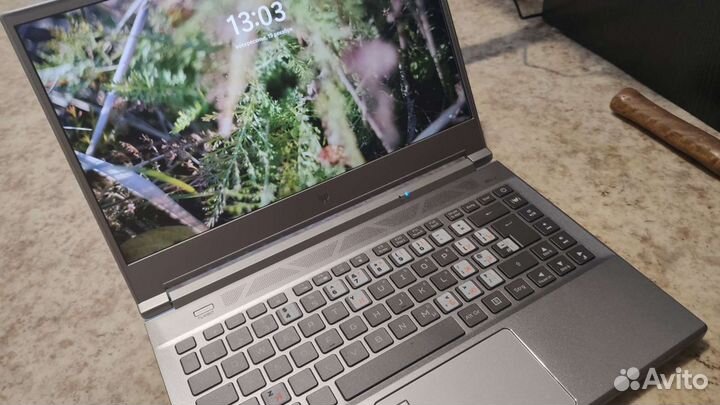 Acer Predator Triton 300se