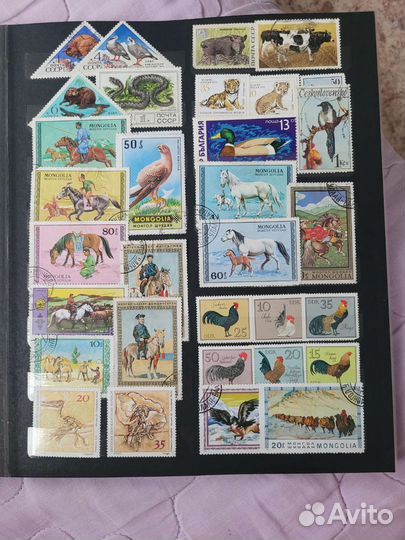 Почтовые марки