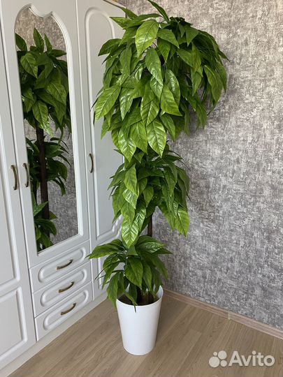 Искусственные (декоративные) растения