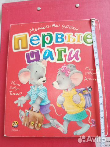 Книга (картон) Первые шаги