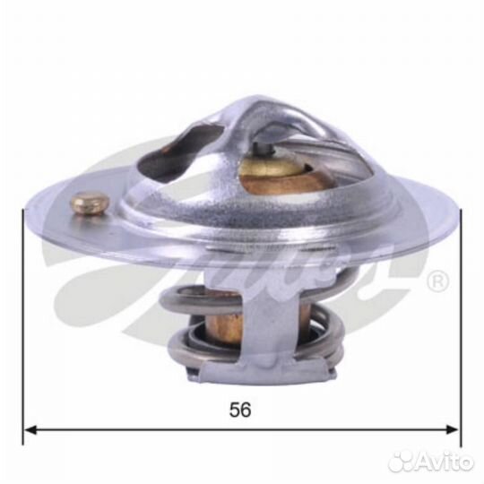 Gates TH32478G1 Термостат