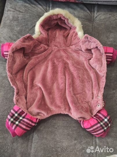 Комбинезон для собаки