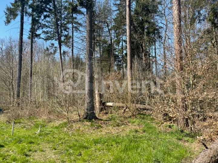 Участок 1,4 га (ИЖС)