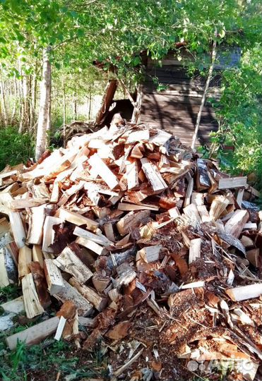 Дрова любые, в наличии