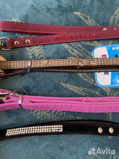 Поводки и ошейники для собак