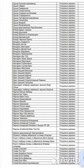 Саженцы плодовых деревьев с питомника