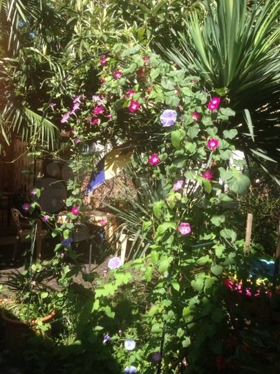 Комната 18 м² в 8-к., 2/2 эт.