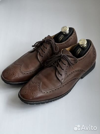 Броги Sandro USA