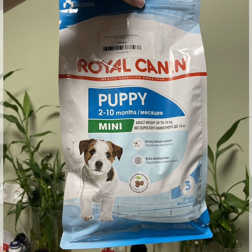 Корм для собак royal canin