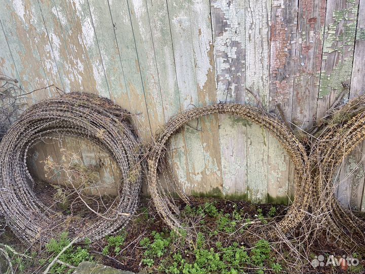 Колючая проволока