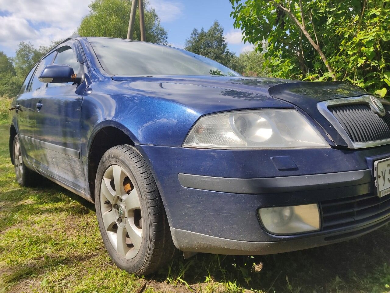 Skoda Octavia: фото владельца