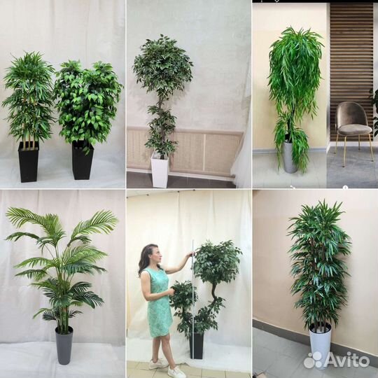 Искусственная трава осока в блоках ящиках в кафе