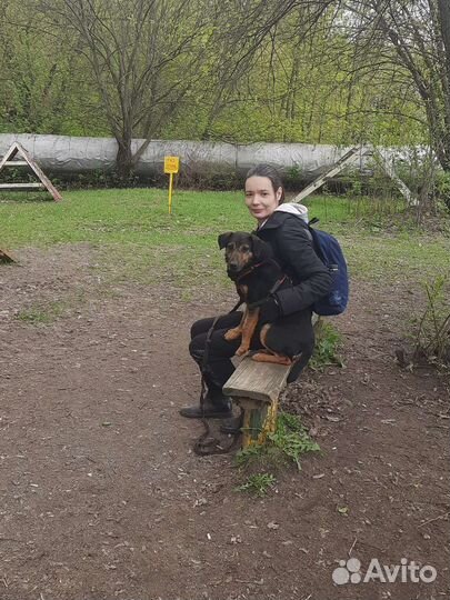 Собака в добрые руки маленькая порода