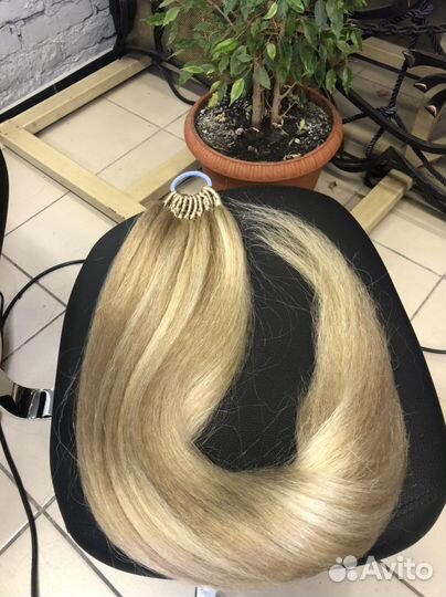 Афрохвост на резинке