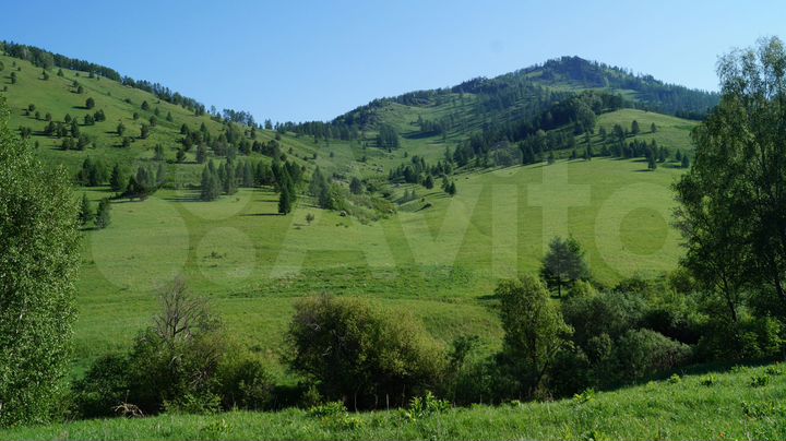 Участок 489,3 га (СНТ, ДНП)