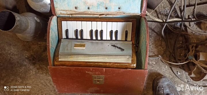 Аккордеон детский