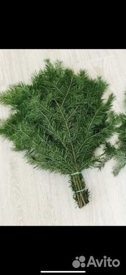 Пихтовые веники