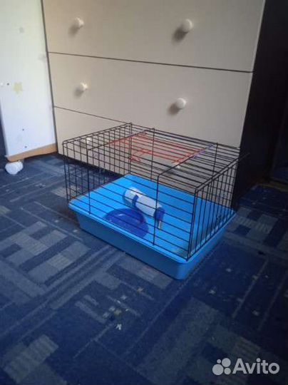 Клетка для грызунов бу