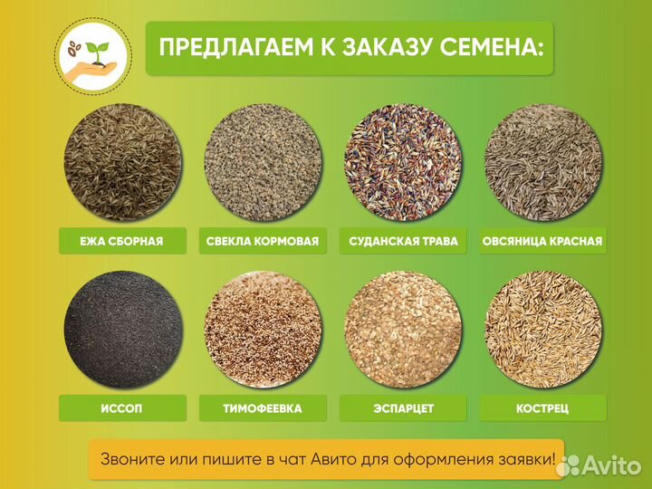 Семена люцерны