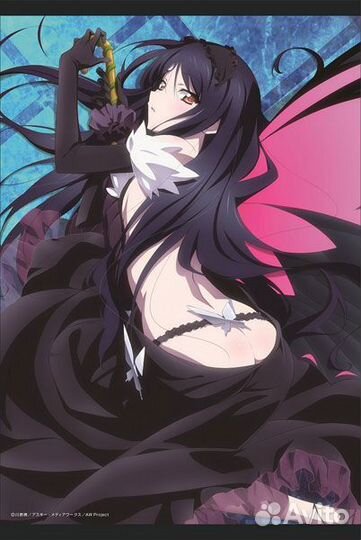 Тканевый плакат Accel World