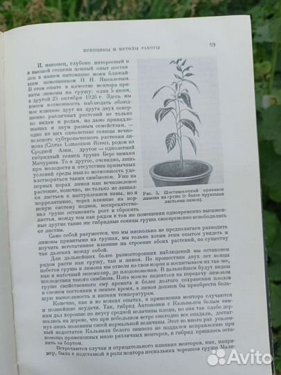 Редкие старые книги