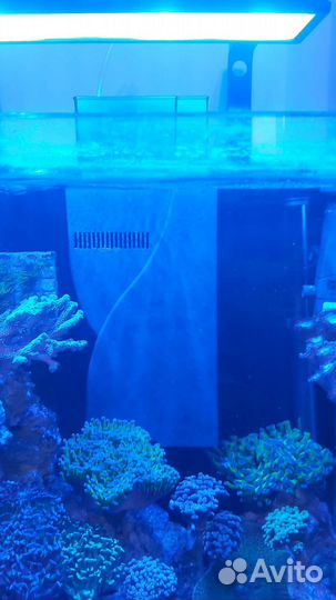 Флотатор пенник Eheim SkimMarine 300