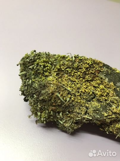 Кора с мхом