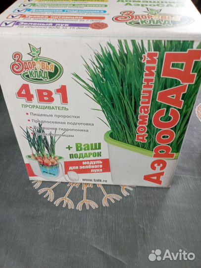 Проращиватель