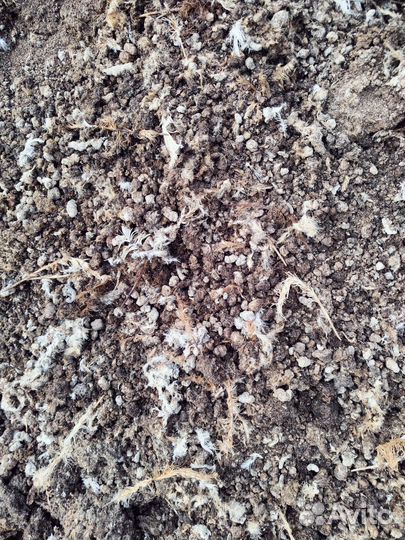 Куринный навоз, помёт в мешках