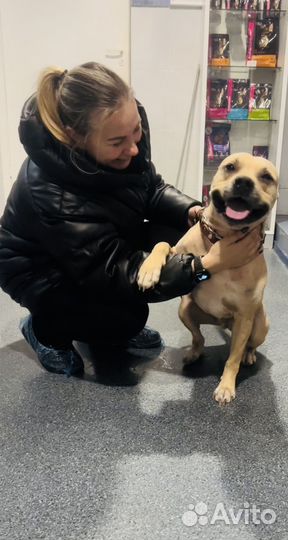 Стафф в добрые руки