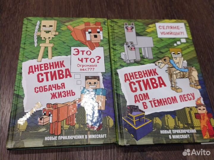 Книга дневник стива