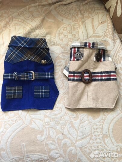 Одежда для собак