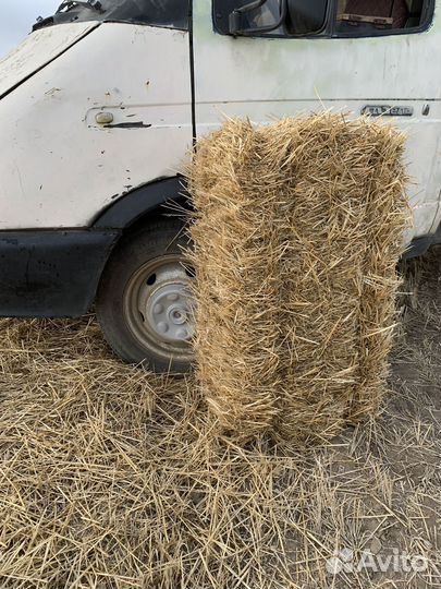 Салома в тюках