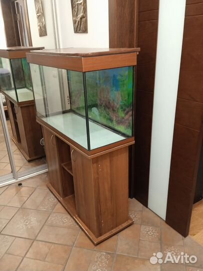Аквариум