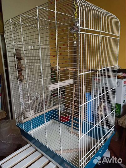 Клетка