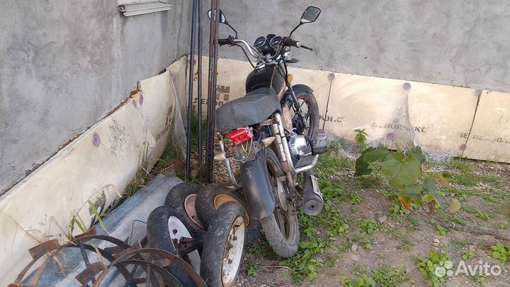 Продам альфу