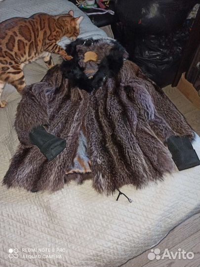 Шуба из енота