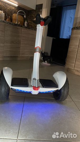 Гироскутер segway ninebot pro