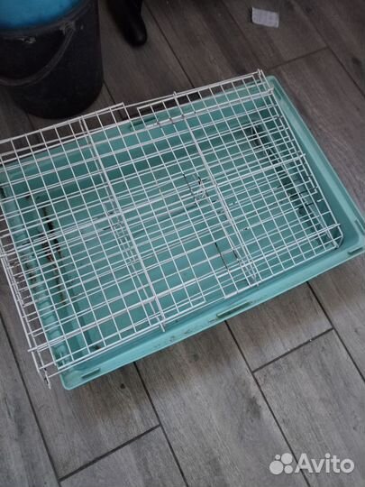 Клетка для кролика и морской свинки