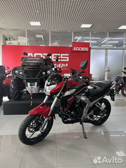 Мотоцикл Racer RC300CK-N Fighter sport