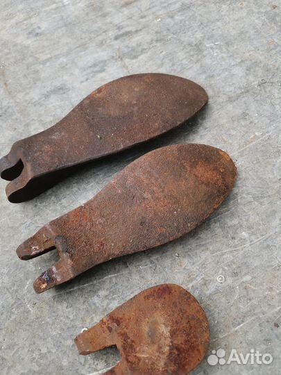 Лапа сапожная