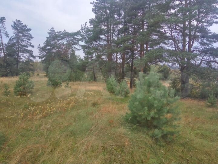 Участок 4 га (СНТ, ДНП)
