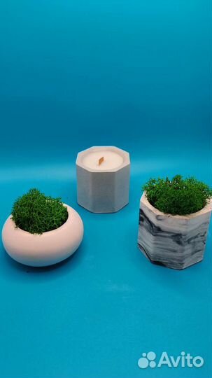 Стабилизированный мох в горшочках
