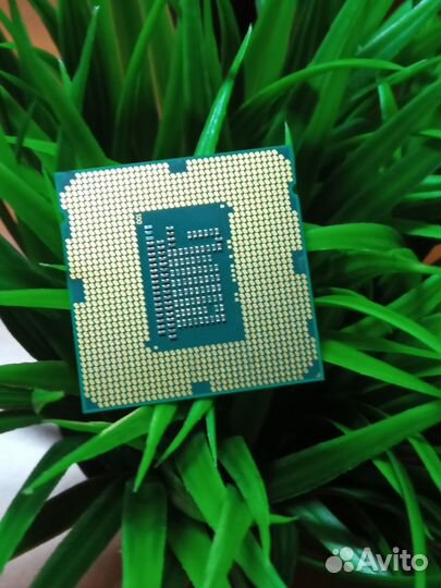 Процессор и видеокарта