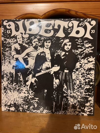 Виниловая пластинка