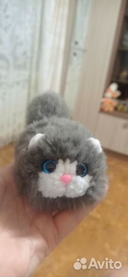 Меховые котики